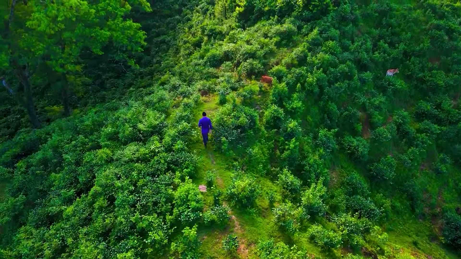 Bangladesh