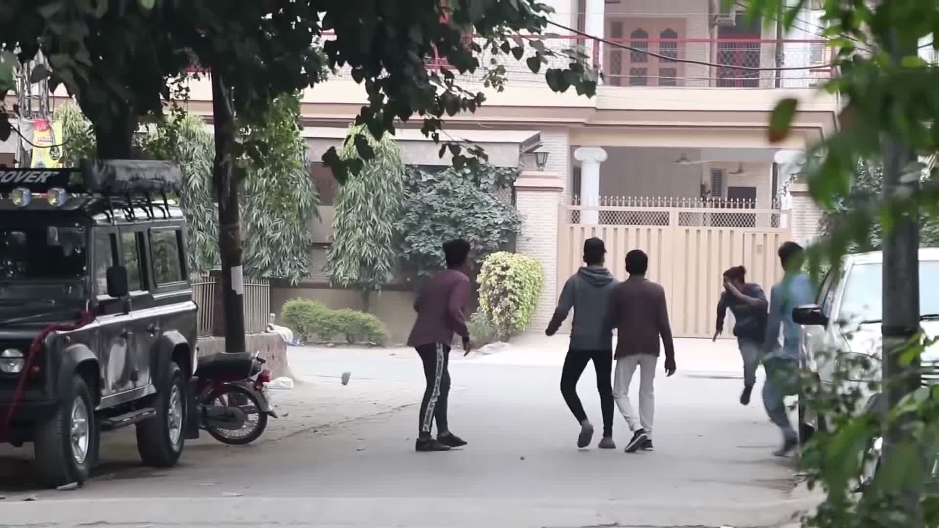 Dog prank