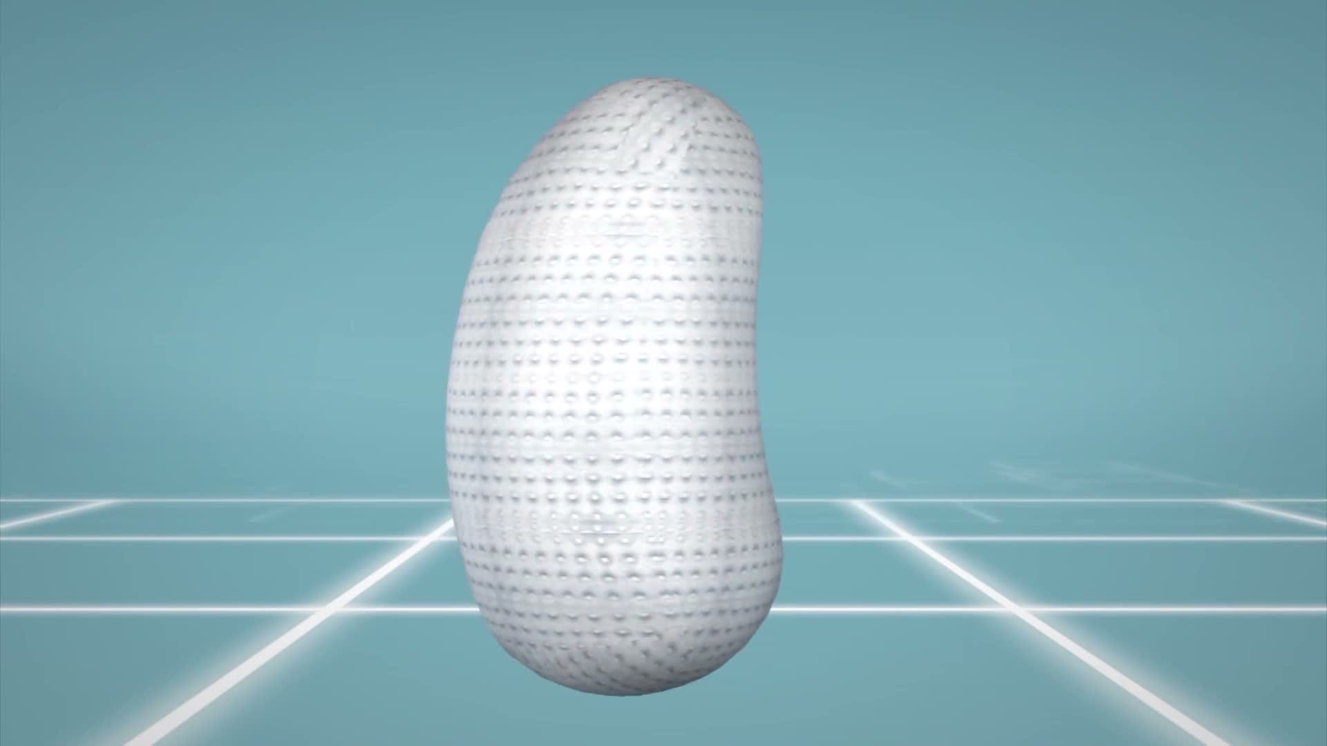 Robatic pillow pashto